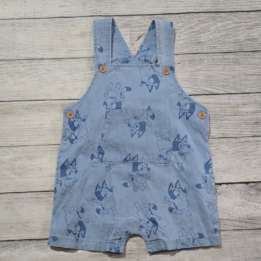 Charming Light Blue Kids Overalls with Bluey